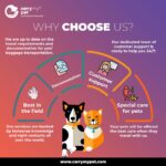 carrymypet