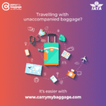 send luggage