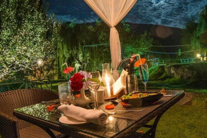 top hotels in Manali