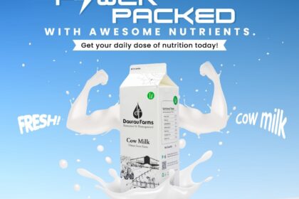 cow milk