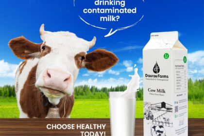 cow milk in noida