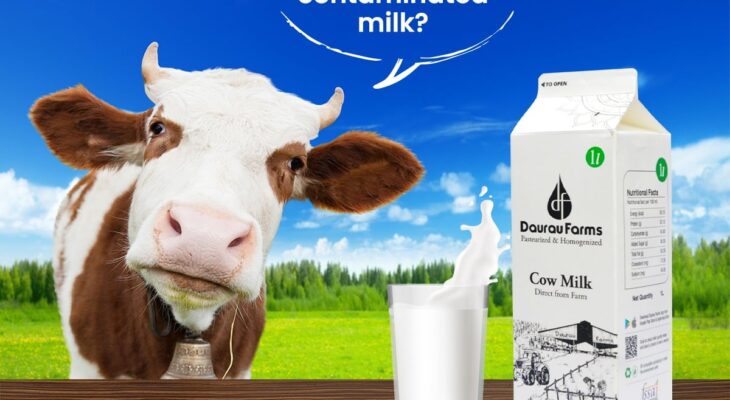 cow milk in noida